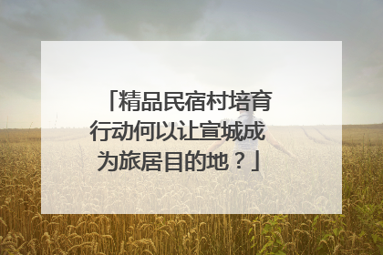 精品民宿村培育行动何以让宣城成为旅居目的地？