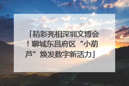 精彩亮相深圳文博会！聊城东昌府区“小葫芦”焕发数字新活力