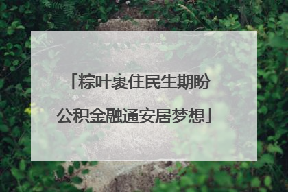 粽叶裹住民生期盼 公积金融通安居梦想