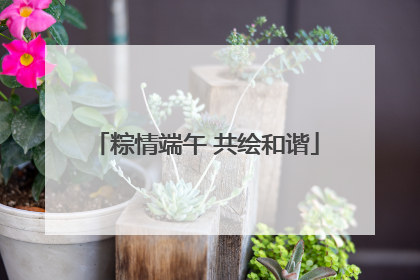 粽情端午 共绘和谐