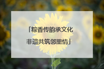 粽香传韵承文化 非遗共筑邻里情