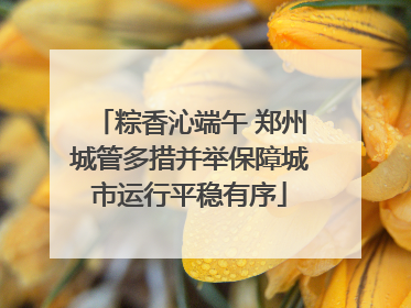 粽香沁端午 郑州城管多措并举保障城市运行平稳有序