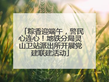 粽香迎端午，警民心连心！地铁分局灵山卫站派出所开展党建联建活动