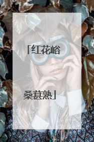 红花峪 桑葚熟