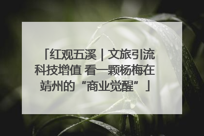 红观五溪｜文旅引流 科技增值 看一颗杨梅在靖州的“商业觉醒”