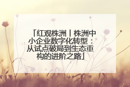 红观株洲丨株洲中小企业数字化转型：从试点破局到生态重构的进阶之路