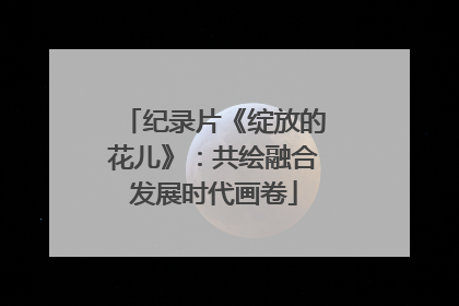 纪录片《绽放的花儿》：共绘融合发展时代画卷