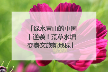 绿水青山的中国丨逆袭！荒草水塘变身文旅新地标