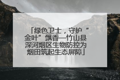 绿色卫士，守护“金叶”飘香—竹山县深河烟区生物防控为烟田筑起生态屏障