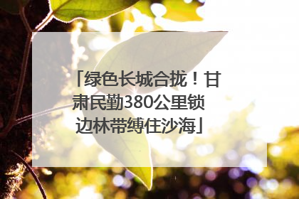 绿色长城合拢！甘肃民勤380公里锁边林带缚住沙海