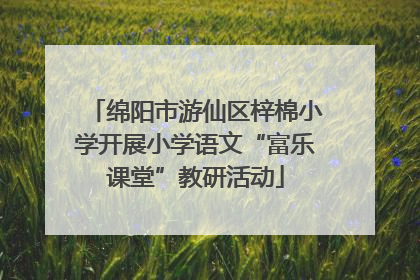 绵阳市游仙区梓棉小学开展小学语文“富乐课堂”教研活动