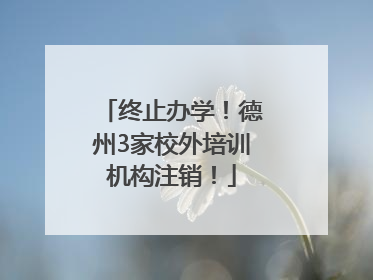 终止办学！德州3家校外培训机构注销！
