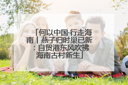 何以中国·行走海南丨燕子归时巢已新：自贸港东风吹拂 海南古村新生