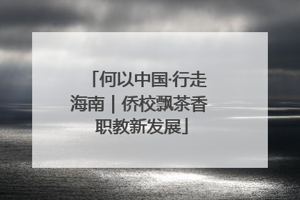 何以中国·行走海南｜侨校飘茶香 职教新发展