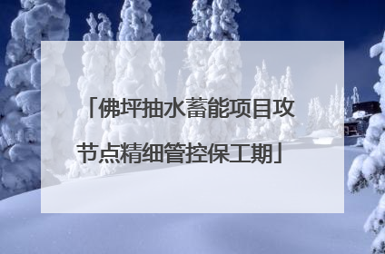 佛坪抽水蓄能项目攻节点精细管控保工期