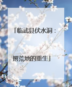 临武县伏水洞：撂荒地的重生