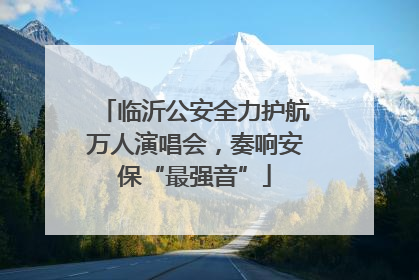 临沂公安全力护航万人演唱会，奏响安保“最强音”