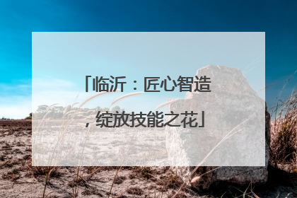 临沂：匠心智造，绽放技能之花