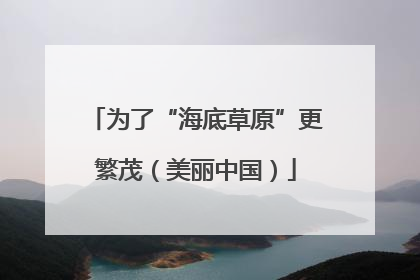 为了“海底草原”更繁茂（美丽中国）