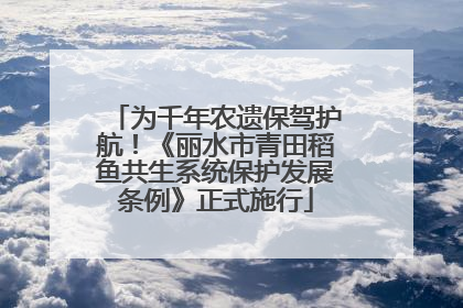为千年农遗保驾护航！《丽水市青田稻鱼共生系统保护发展条例》正式施行