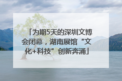 为期5天的深圳文博会闭幕，湖南展馆“文化+科技”创新奔涌