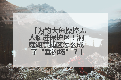 为钓大鱼操控无人艇进保护区！洞庭湖禁捕区怎么成了“垂钓场”？