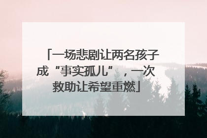 一场悲剧让两名孩子成“事实孤儿”，一次救助让希望重燃