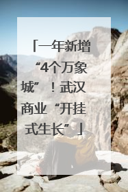 一年新增“4个万象城”！武汉商业“开挂式生长”