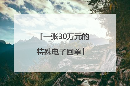 一张30万元的特殊电子回单