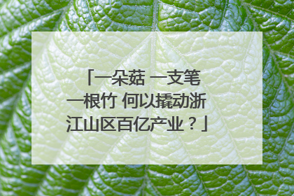 一朵菇 一支笔 一根竹 何以撬动浙江山区百亿产业？