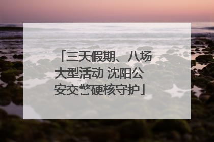 三天假期、八场大型活动 沈阳公安交警硬核守护