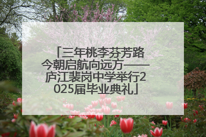 三年桃李芬芳路 今朝启航向远方——庐江裴岗中学举行2025届毕业典礼