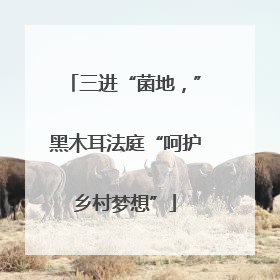 三进“菌地，”黑木耳法庭“呵护乡村梦想”