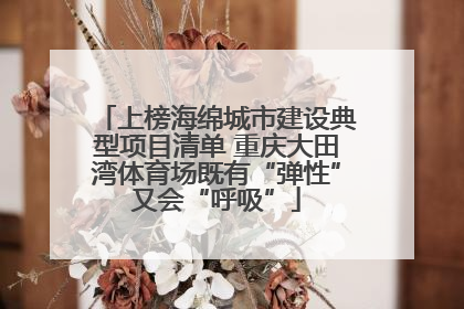上榜海绵城市建设典型项目清单 重庆大田湾体育场既有“弹性”又会“呼吸”