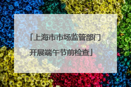 上海市市场监管部门开展端午节前检查