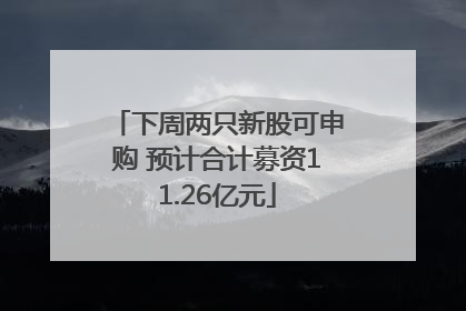 下周两只新股可申购 预计合计募资11.26亿元