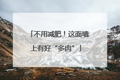 不用减肥！这面墙上有好“多肉”