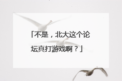 不是，北大这个论坛真打游戏啊？