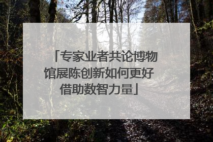 专家业者共论博物馆展陈创新如何更好借助数智力量