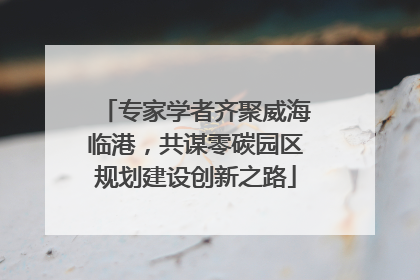 专家学者齐聚威海临港，共谋零碳园区规划建设创新之路