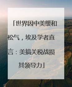 世界因中美缓和松气，埃及学者直言：美搞关税战损其领导力