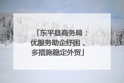 东平县商务局：优服务助企纾困，多措施稳定外贸