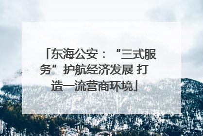 东海公安：“三式服务”护航经济发展 打造一流营商环境