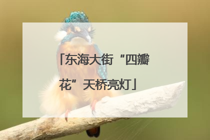 东海大街“四瓣花”天桥亮灯