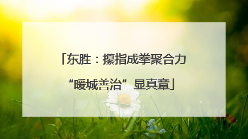 东胜：攥指成拳聚合力 “暖城善治”显真章