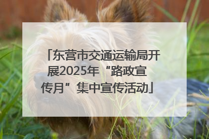 东营市交通运输局开展2025年“路政宣传月”集中宣传活动