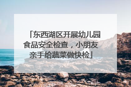 东西湖区开展幼儿园食品安全检查，小朋友亲手给蔬菜做快检