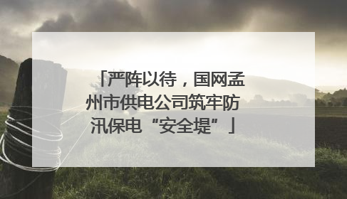 严阵以待，国网孟州市供电公司筑牢防汛保电“安全堤”