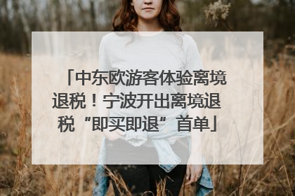 中东欧游客体验离境退税！宁波开出离境退税“即买即退”首单