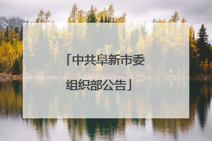 中共阜新市委组织部公告